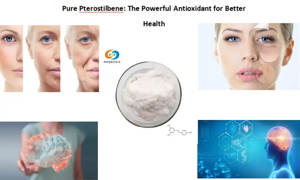 Pure Pterostilbene: The Powerful Antioxidant for Better Health